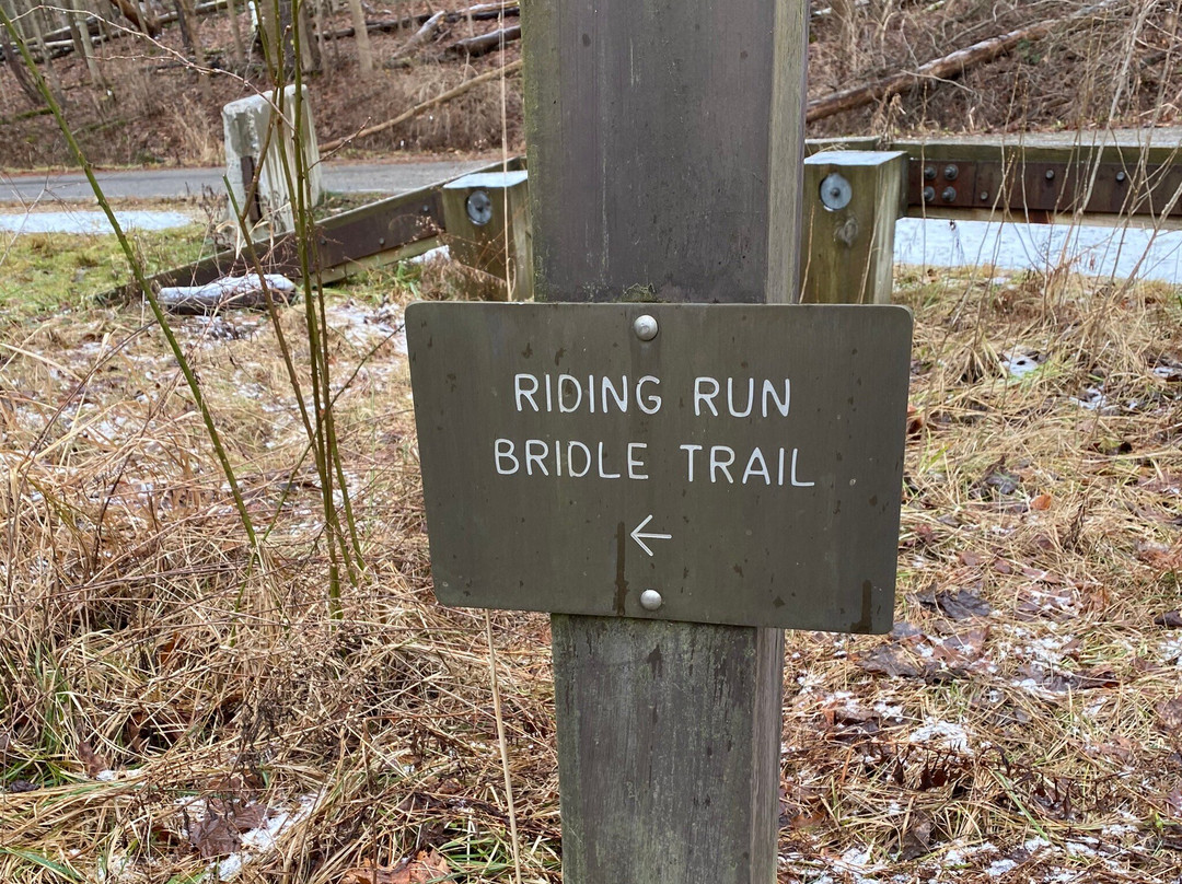 Riding Run Bridle Trail景点图片