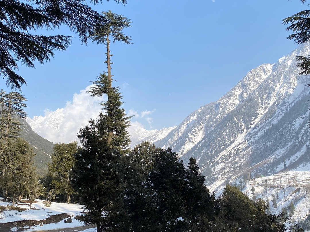 Kalam Forest-Kalam必去景点