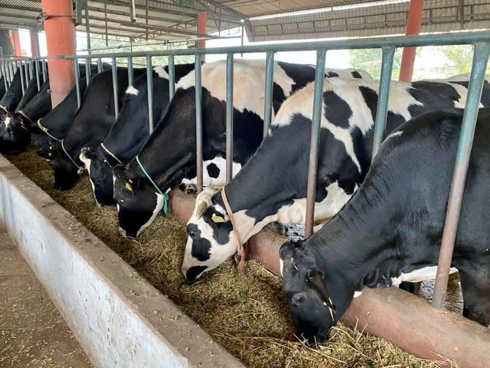 Sirhind旅游攻略图片