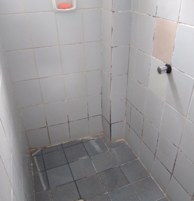 OYO Real Palace Hotel主图