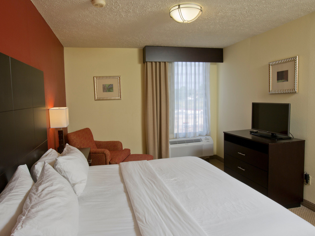 新阿尔巴尼快捷假日酒店主图