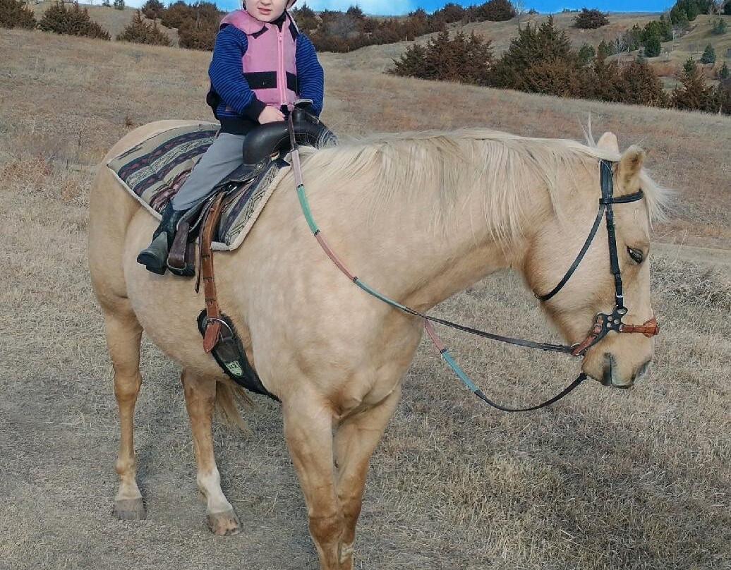 Christine's Horseback Riding景点图片