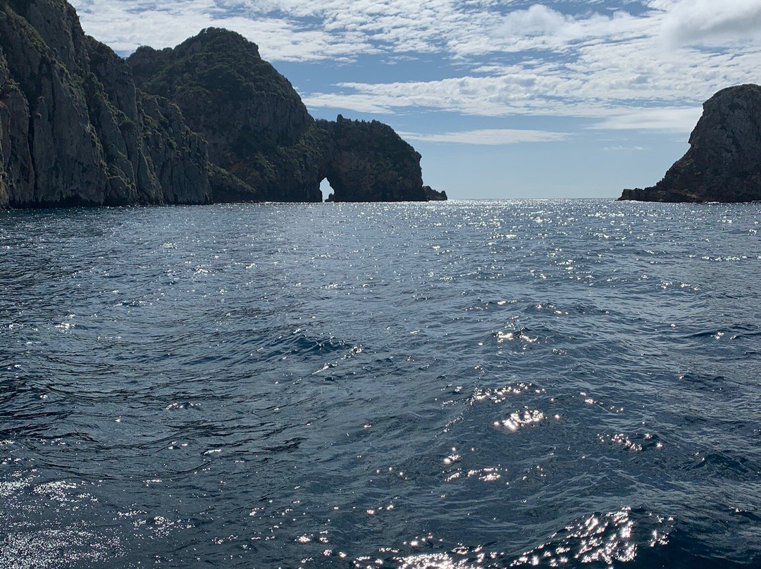 Yukon Dive-Tutukaka必去景点