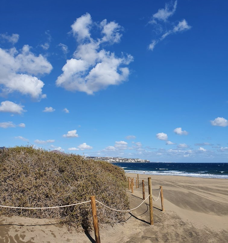 Paseo Marítimo景点图片