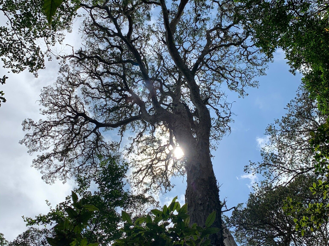Terblans Nature Walk-克尼斯纳必去景点