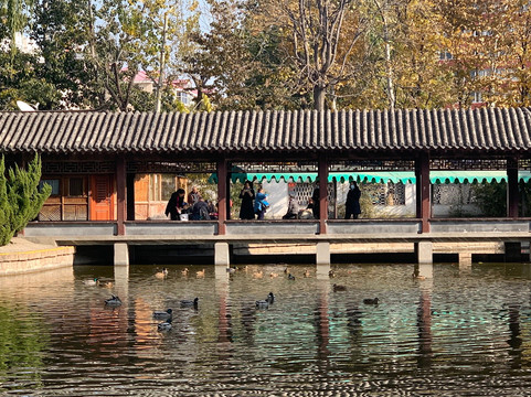 团结湖公园-北京市必去景点