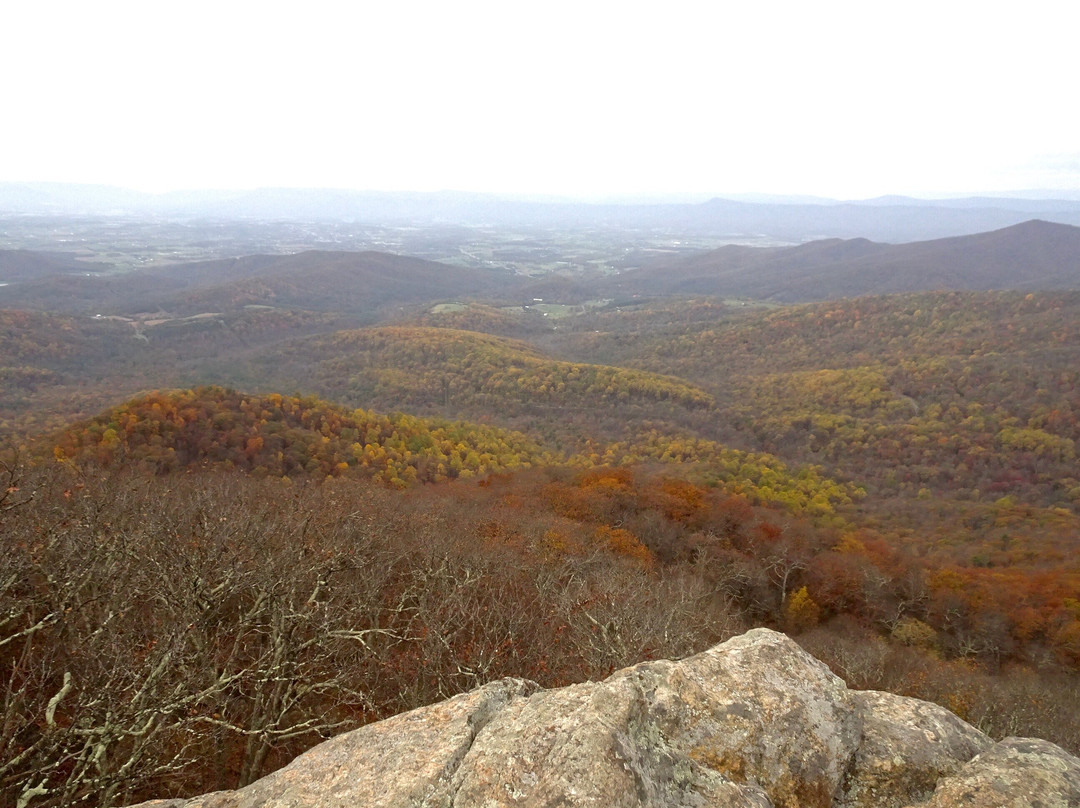 Mary's Rock Summit Trail景点图片