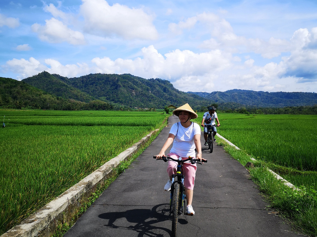 Moana - Sustainable Bicycle Tour景点图片