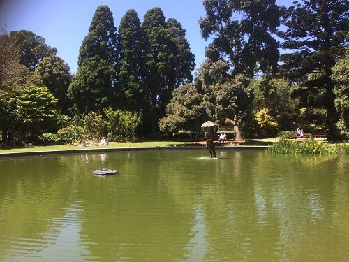 St Kilda Botanical Gardens景点图片
