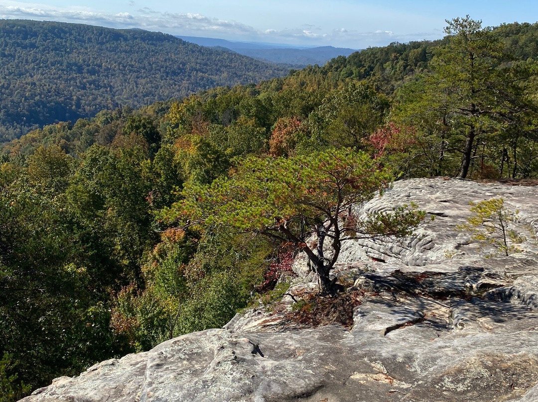 Bee Rock Overlook景点图片