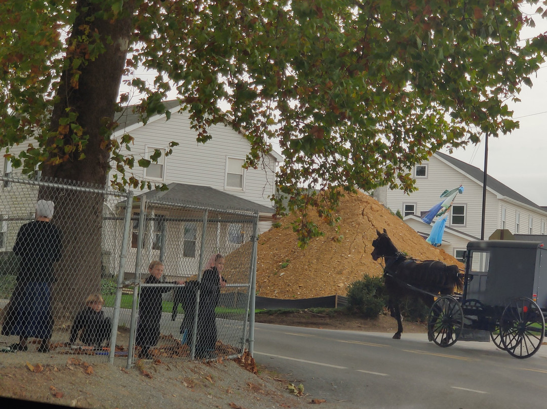 Old Order Amish Tours-Ronks必去景点