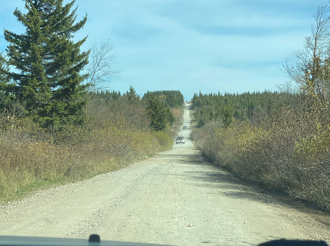 Dolly Sods Wilderness Area-Elkins必去景点