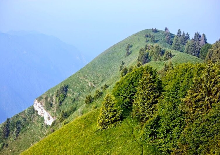 Alta Via delle Dolomiti n. 8景点图片