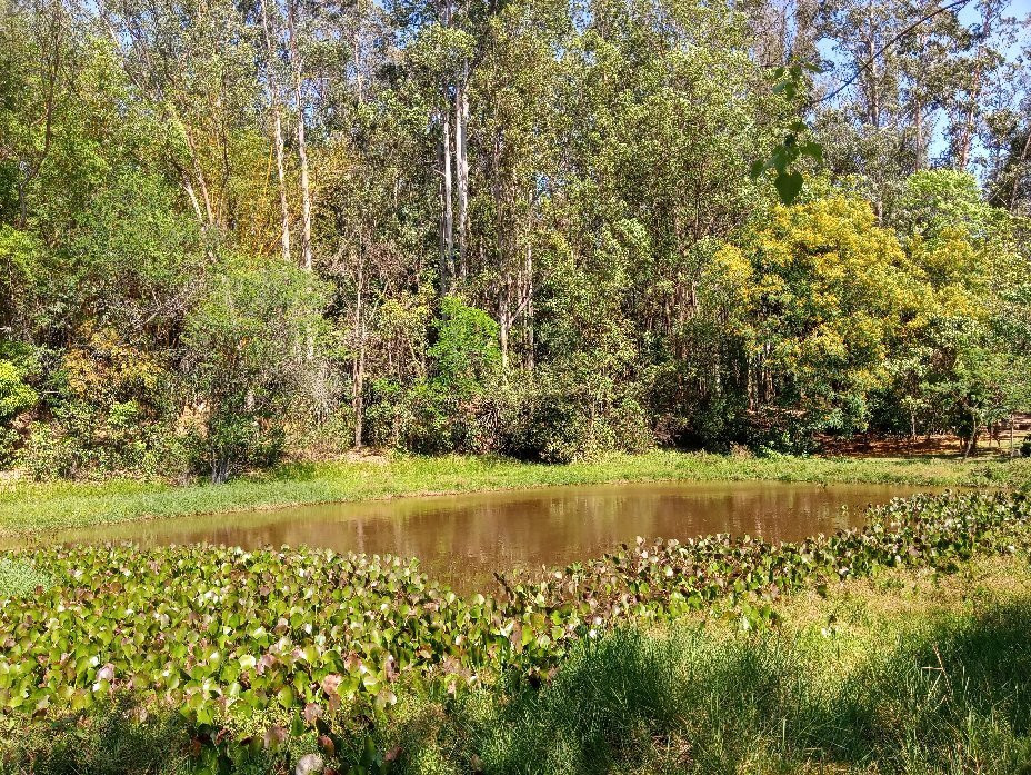 Parque Natural Chico Mendes-索罗卡巴必去景点