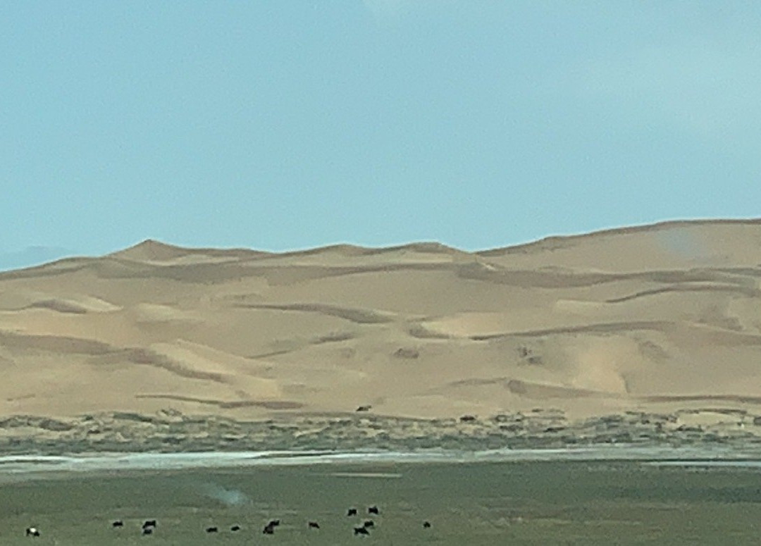 阿拉善盟群众艺术馆-阿拉善左旗必去景点