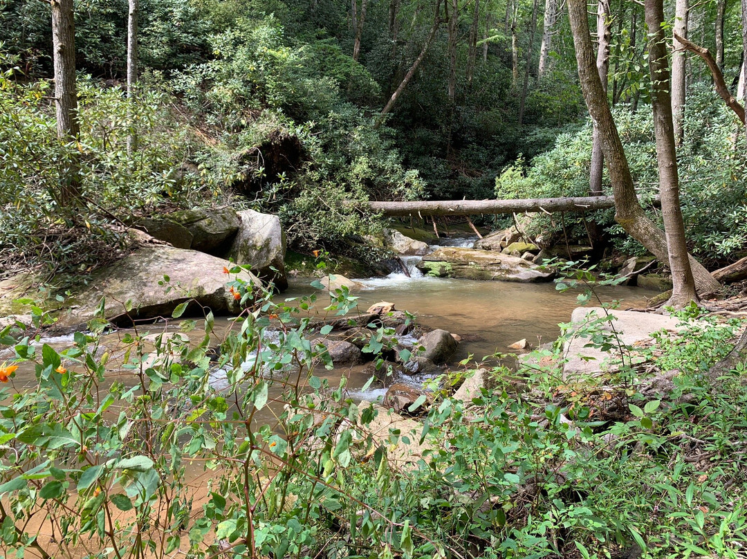 Pulliam Creek Trailhead景点图片