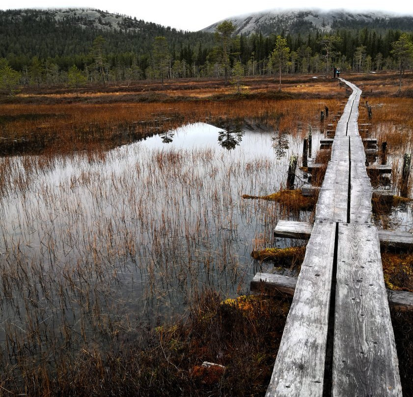 Pyha-Luosto National Park-Pyhatunturi必去景点