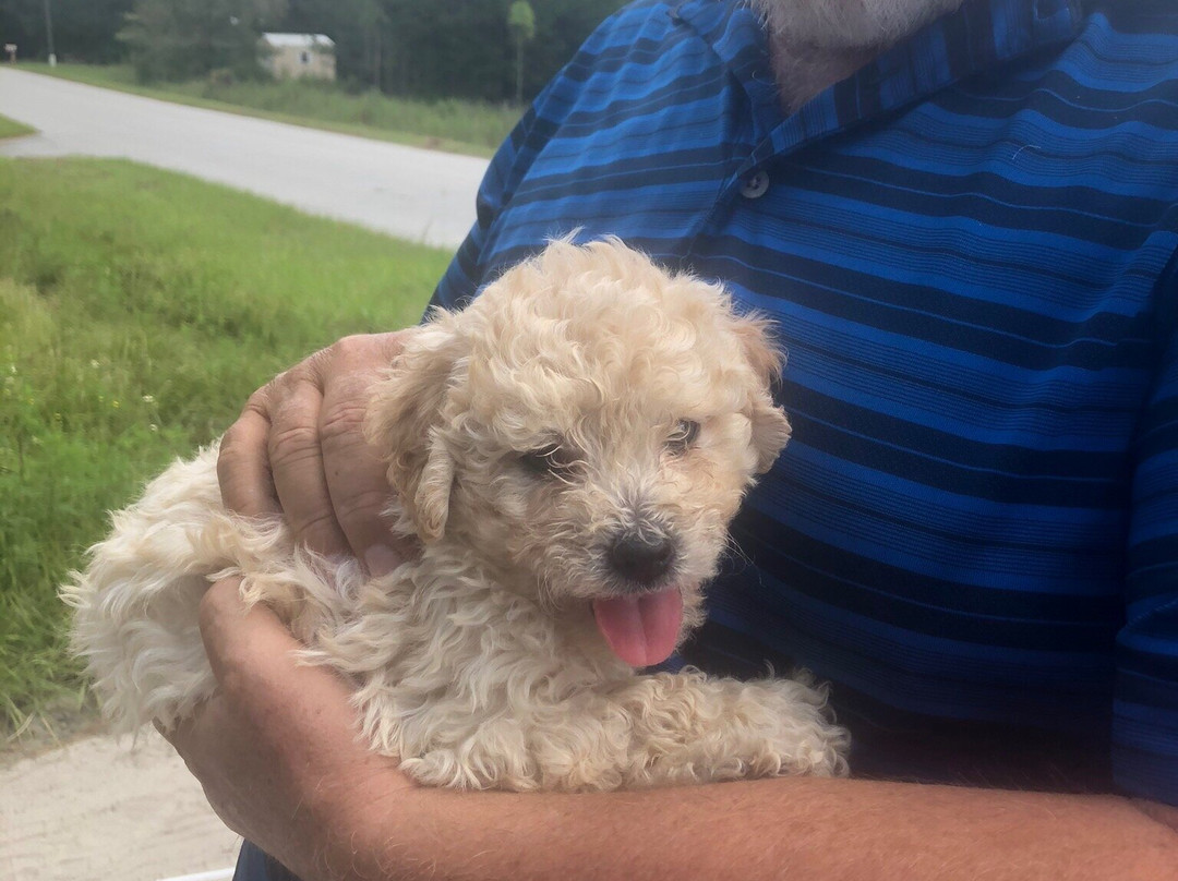 Red Roof Inn Newport News - Yorktown主图