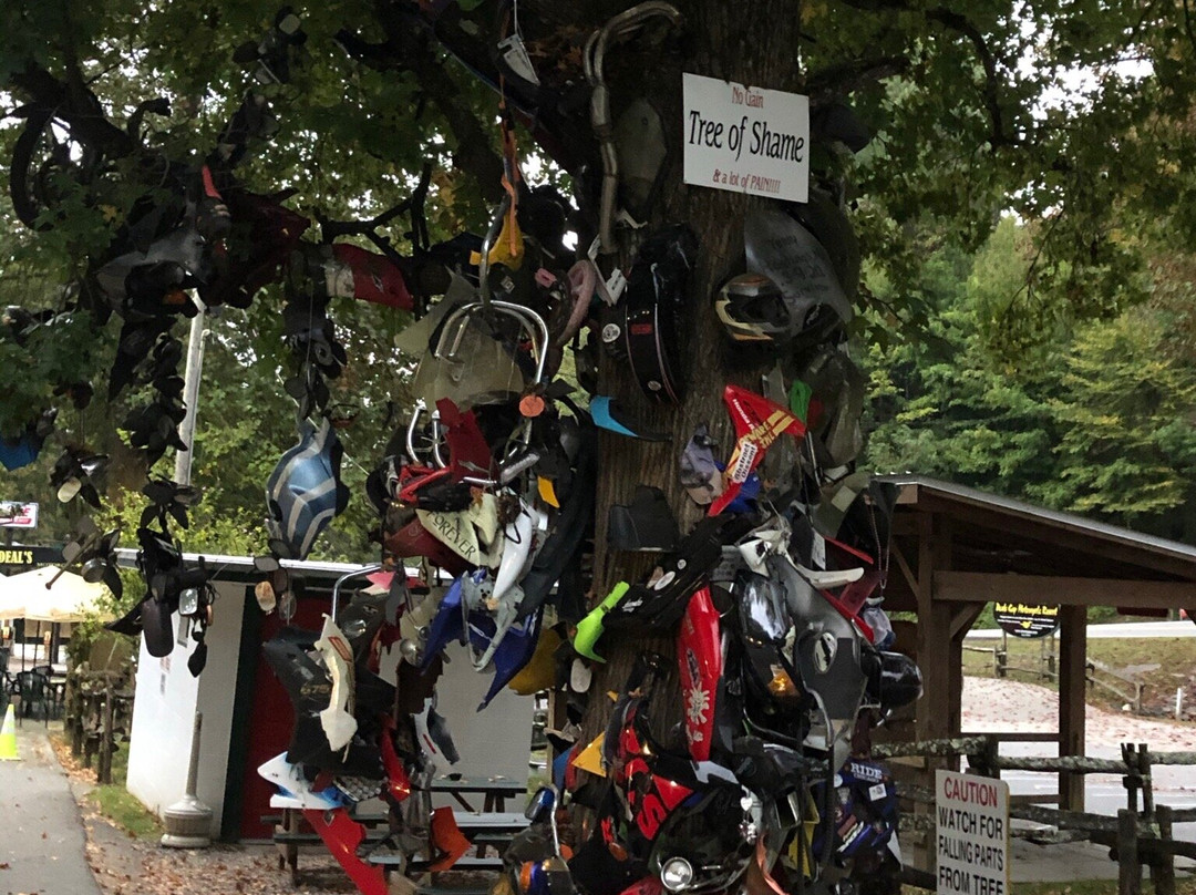 Deals Gap Motorcycle Resort主图