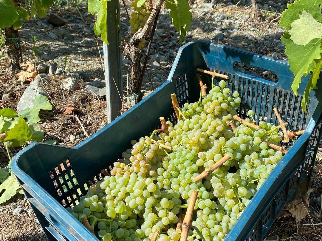 Podere La Regola景点图片