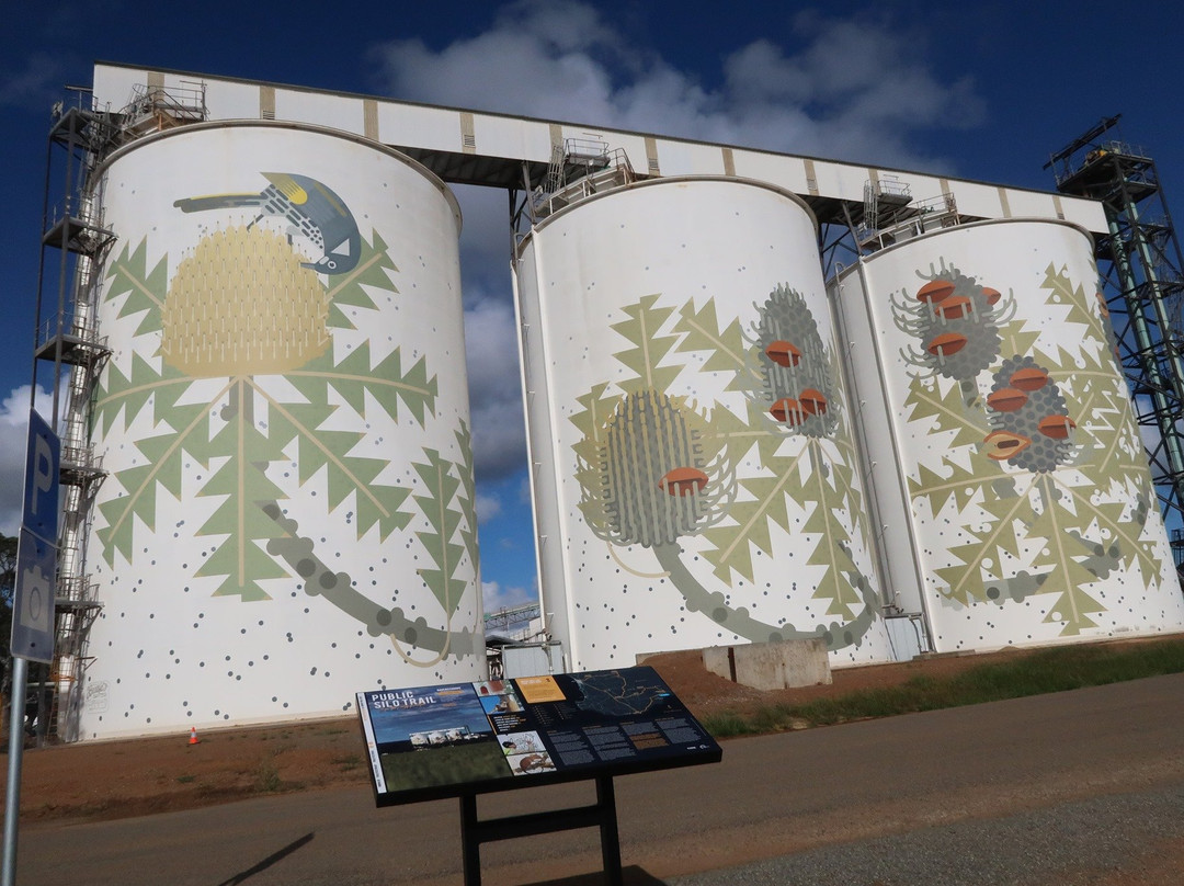 Ravensthorpe Silo Art-Ravensthorpe必去景点