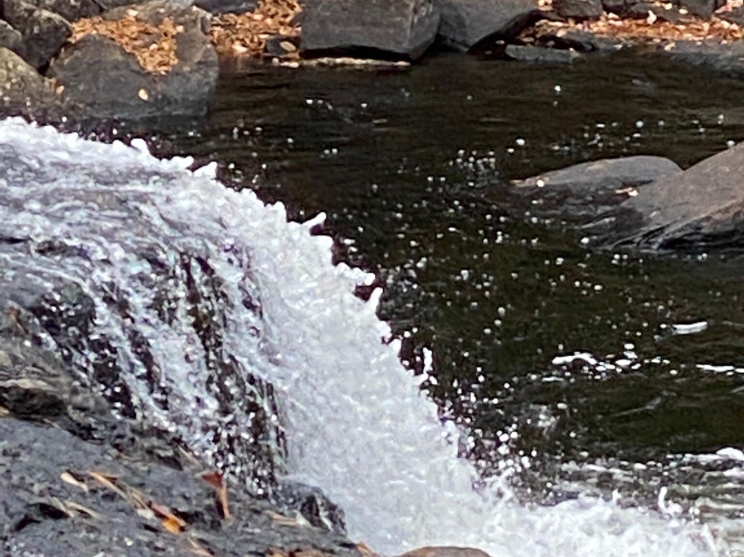 Buttermilk Falls景点图片