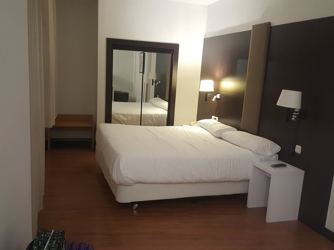 恩尔茨三角洲酒店主图