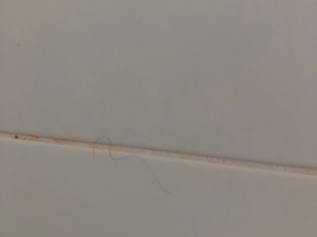 Cape View Beach Resort主图