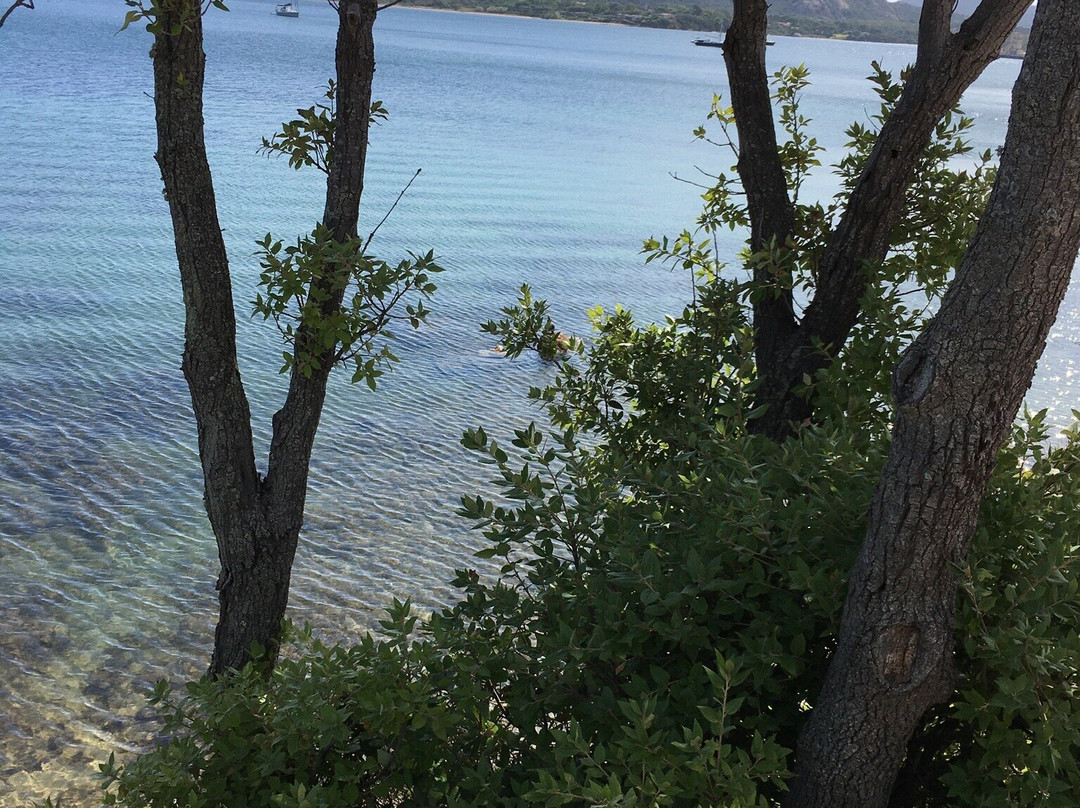 Golfo di Arzachena-Arzachena必去景点