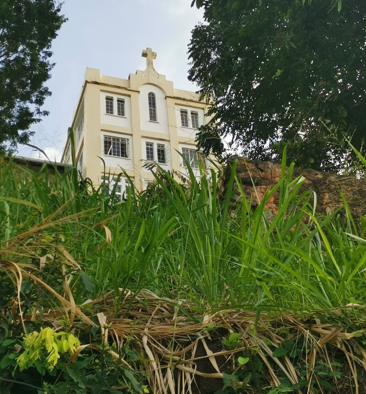Mount St. Benedict Monastery-特立尼达必去景点