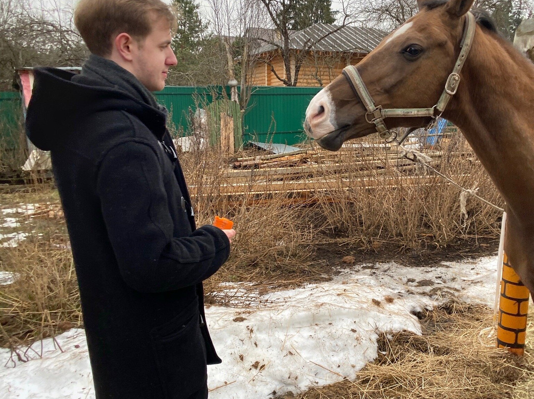 Horse Farm Dutkovo景点图片