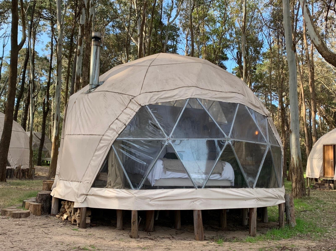 Big Bang Nature Stays主图