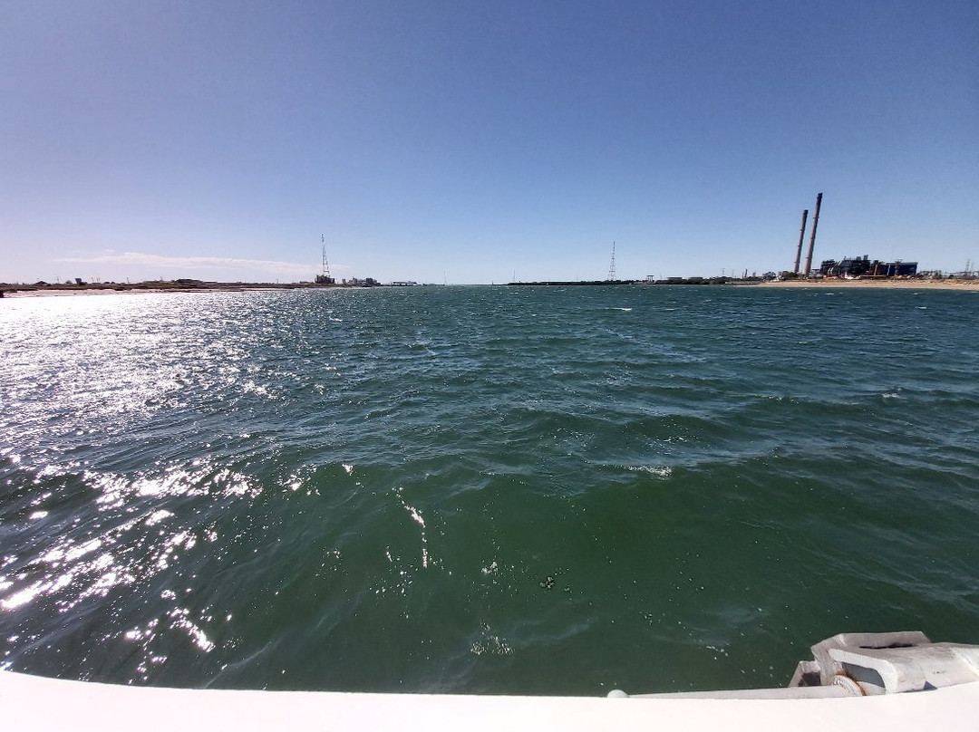 Dolphin Explorer Cruises-Port Adelaide必去景点