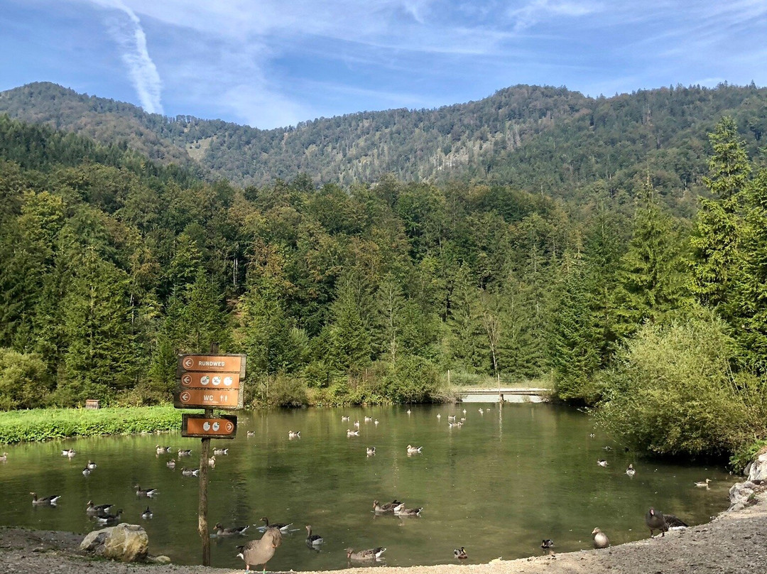 Cumberland Wildpark Grünau景点图片
