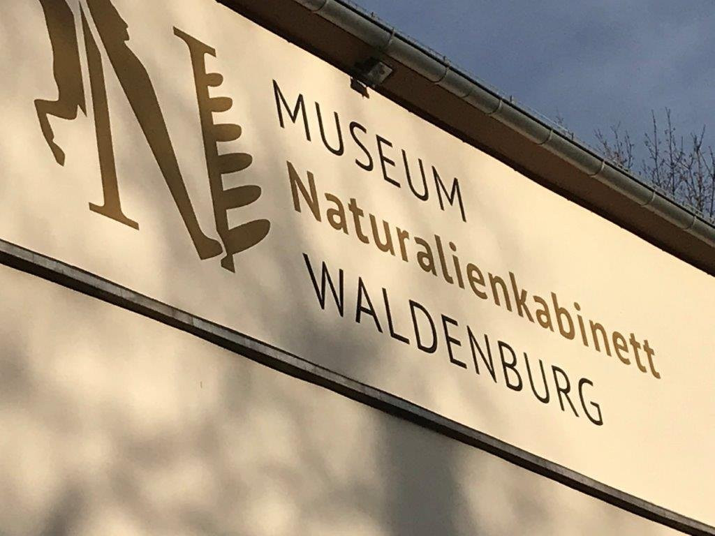 Museum – Naturalienkabinett景点图片