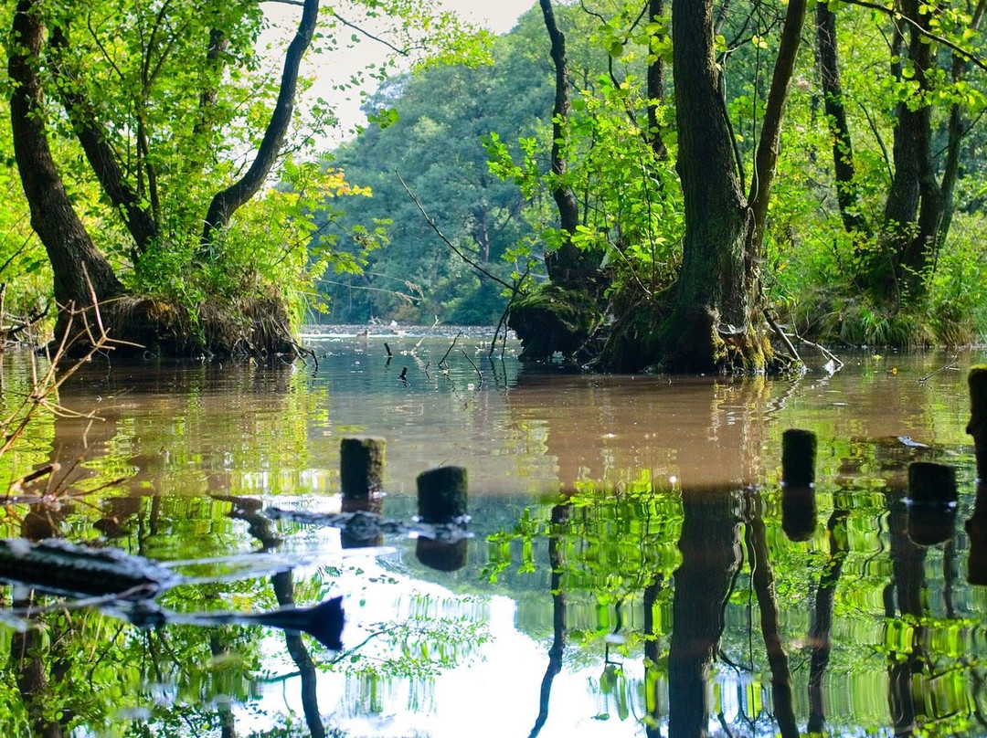 Niebieskie Zrodla Nature Reserve-Tomaszow Mazowiecki必去景点
