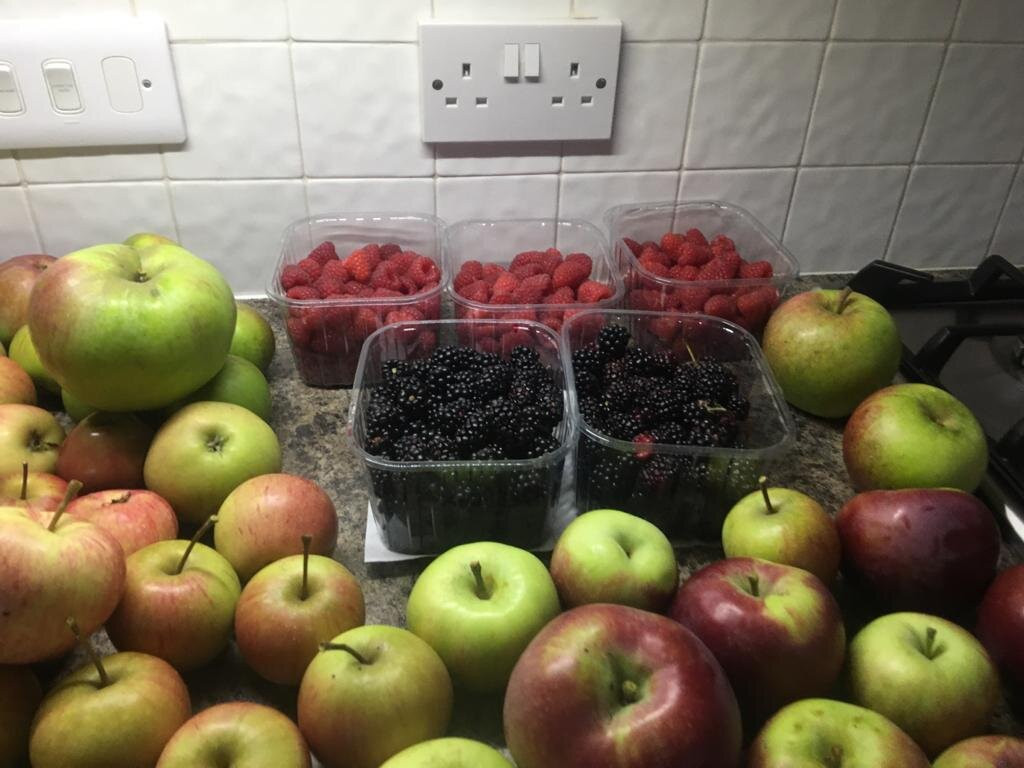 Hillfield Nursery & Farm Shop-诺威奇必去景点