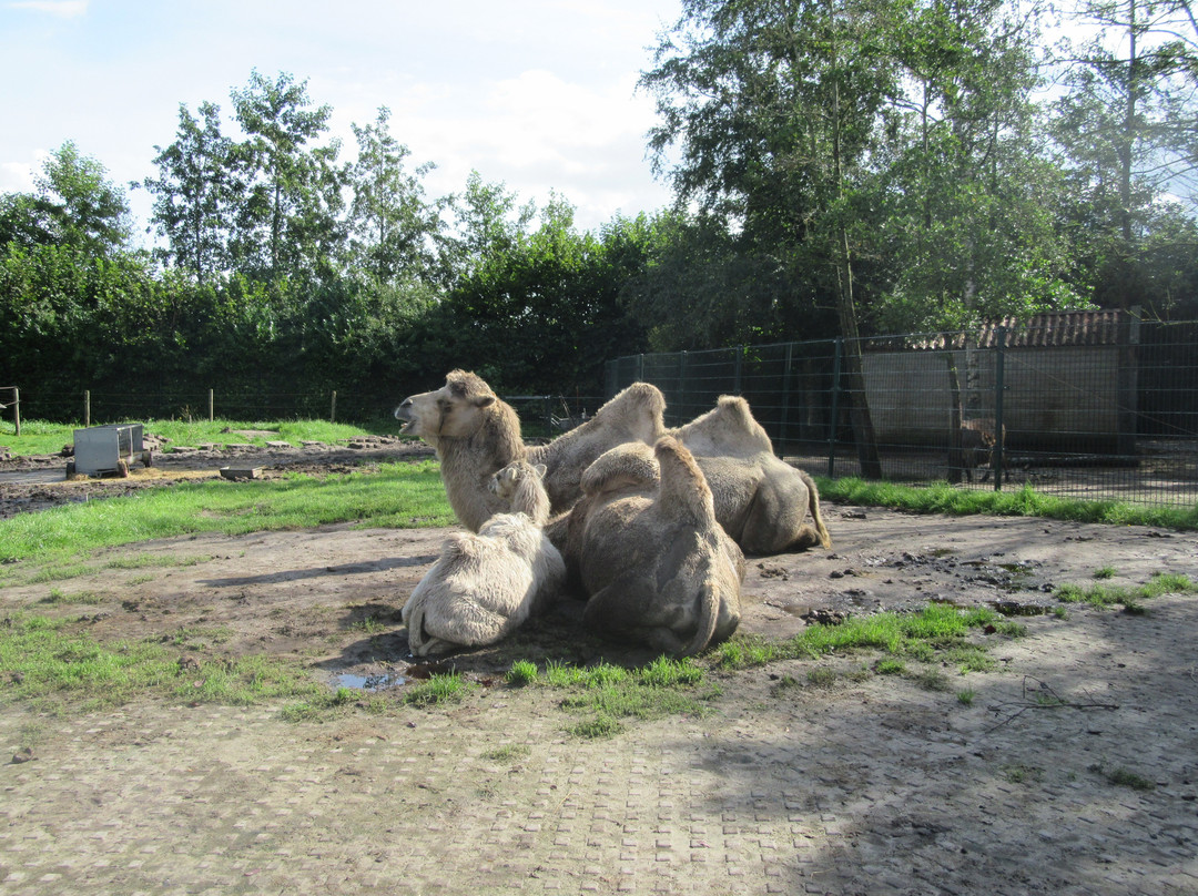 De Westereen旅游攻略图片