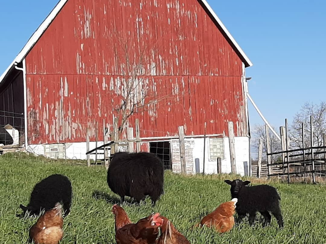 Neosho旅游攻略图片