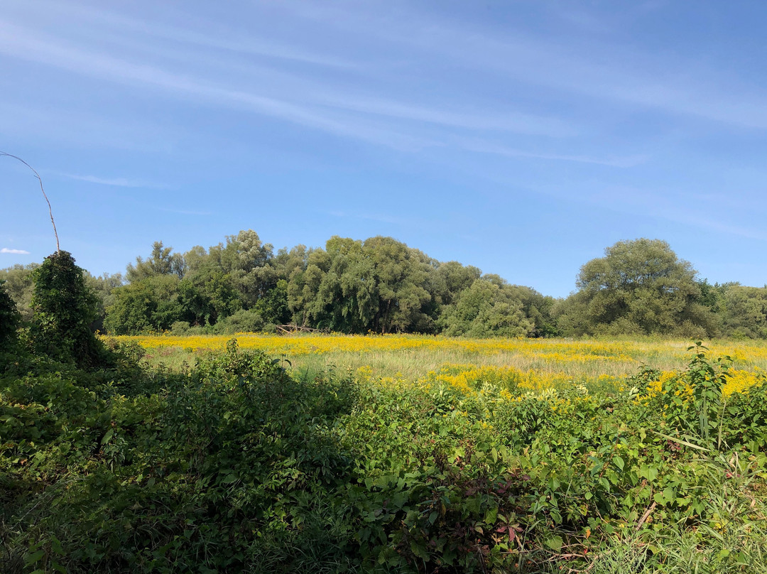 Meadowvale Conservation Area-米西索加必去景点