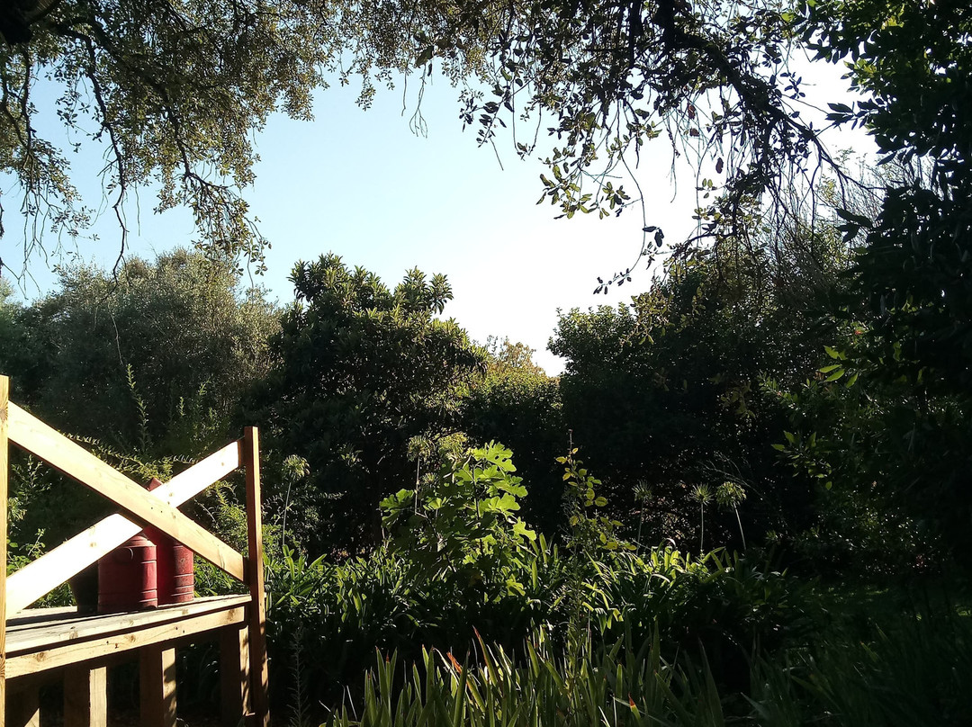 Monte do Serrado de Baixo主图