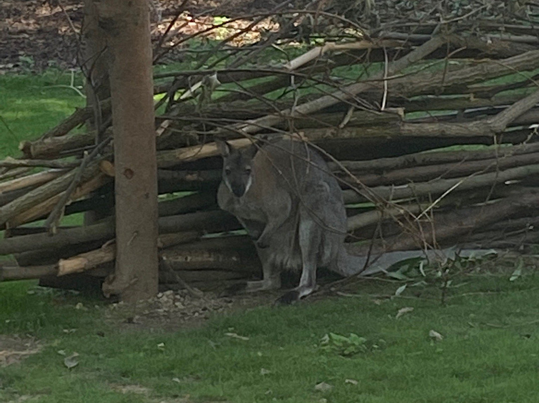 Fauna Park景点图片