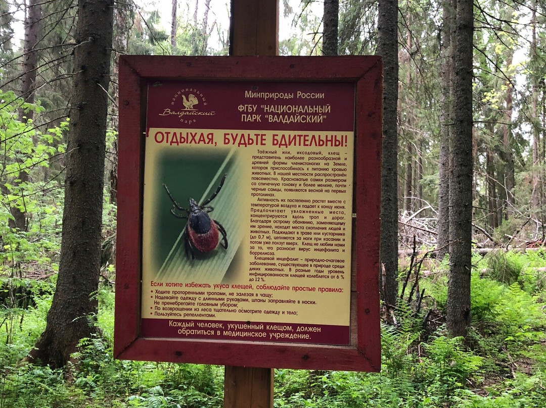 National Park Valdaiskiy主图