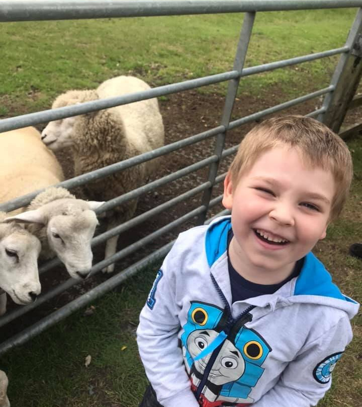 Langleybury Children’s Farm景点图片