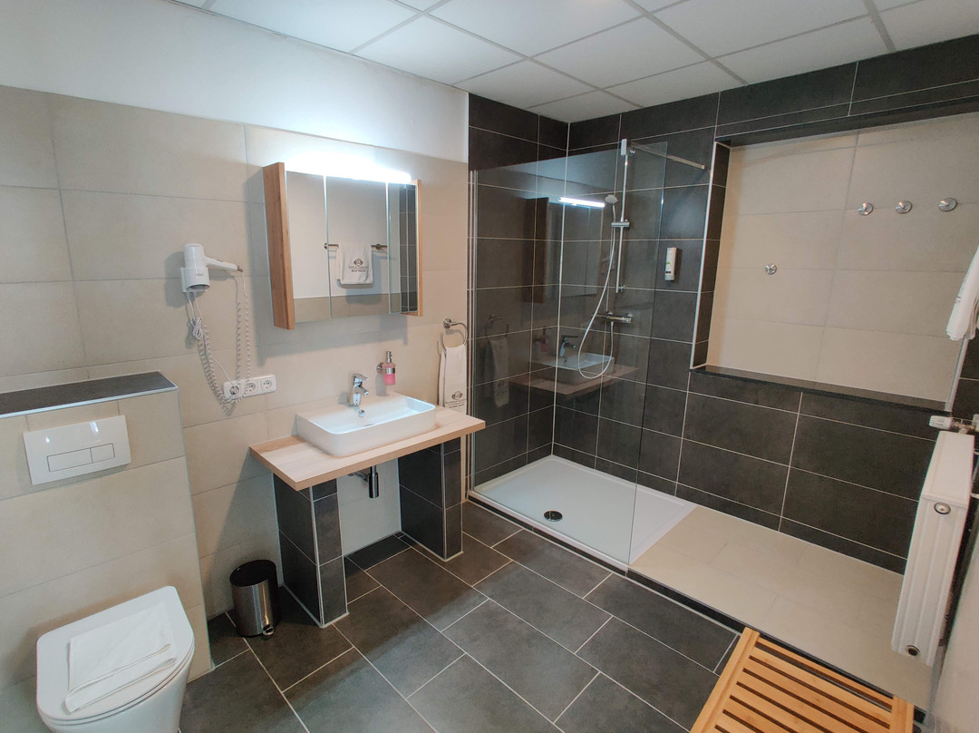 Niederstotzingen酒店住宿-Hotel Goldene Traube