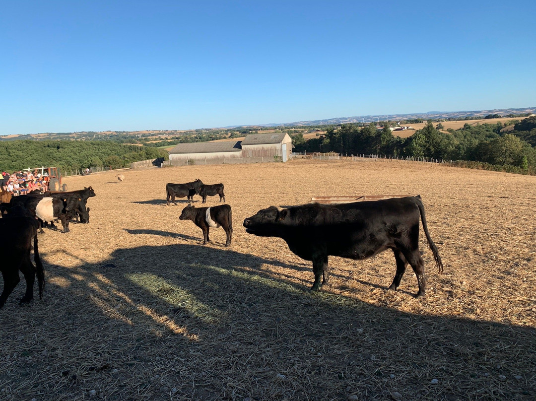 Ferme de Peyrouse景点图片