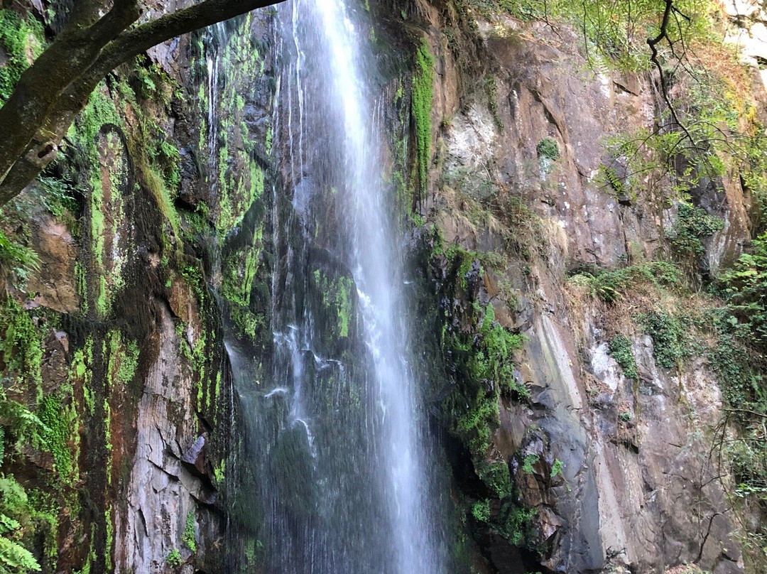 Cascada De Auga Caida-Panton必去景点