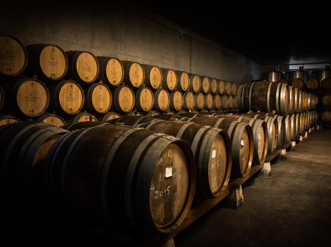 Venancio da Costa Lima-Palmela必去景点