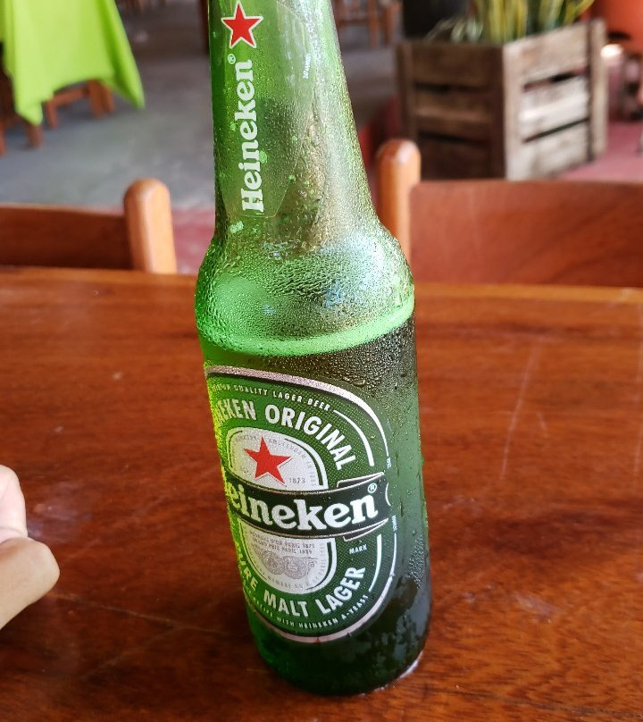 Samauma Park Hotel主图