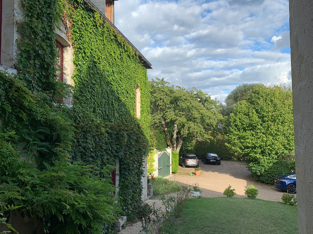 Le Moulin Des Landes主图